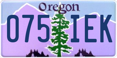 OR license plate 075IEK