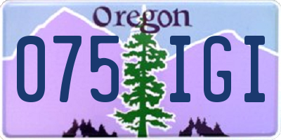 OR license plate 075IGI