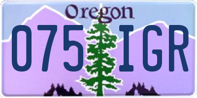 OR license plate 075IGR