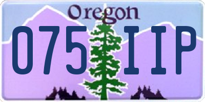 OR license plate 075IIP