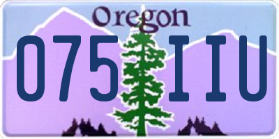 OR license plate 075IIU