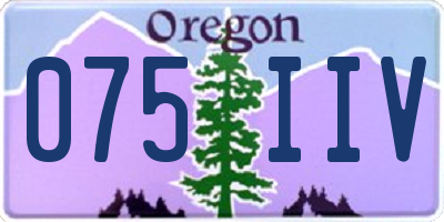OR license plate 075IIV
