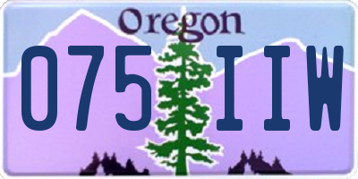 OR license plate 075IIW