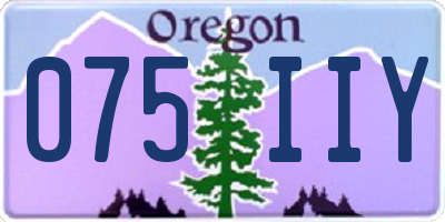 OR license plate 075IIY