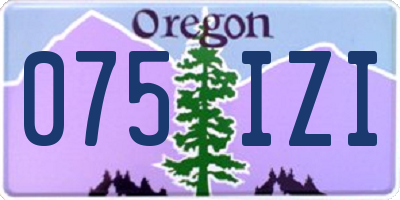 OR license plate 075IZI