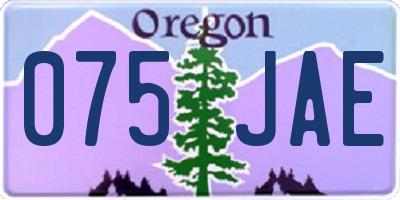 OR license plate 075JAE