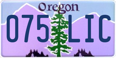 OR license plate 075LIC