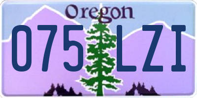 OR license plate 075LZI