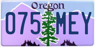 OR license plate 075MEY