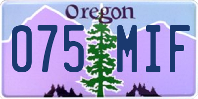 OR license plate 075MIF