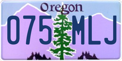 OR license plate 075MLJ