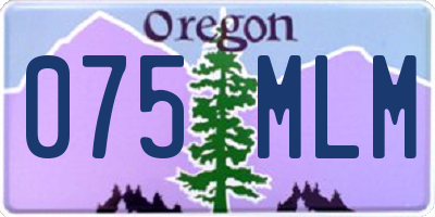 OR license plate 075MLM