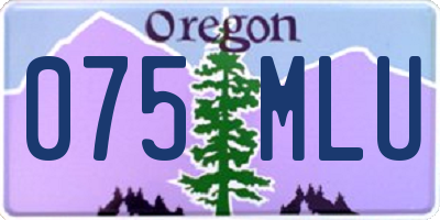 OR license plate 075MLU