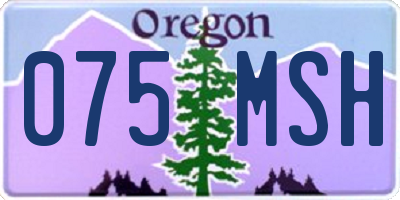 OR license plate 075MSH