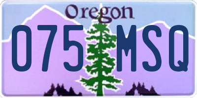 OR license plate 075MSQ