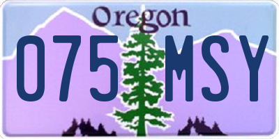 OR license plate 075MSY