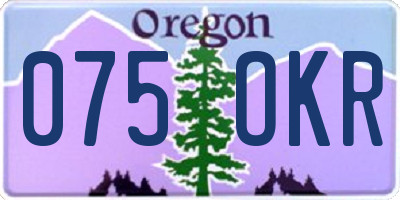 OR license plate 075OKR