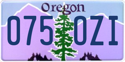 OR license plate 075OZI