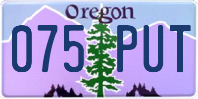 OR license plate 075PUT