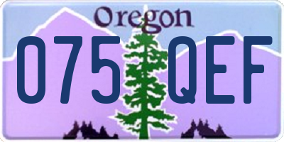 OR license plate 075QEF