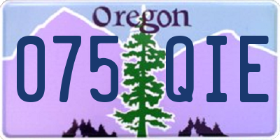 OR license plate 075QIE