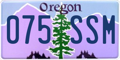 OR license plate 075SSM