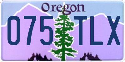 OR license plate 075TLX