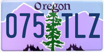 OR license plate 075TLZ