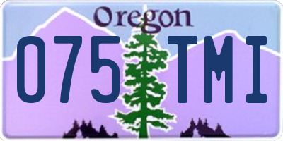 OR license plate 075TMI