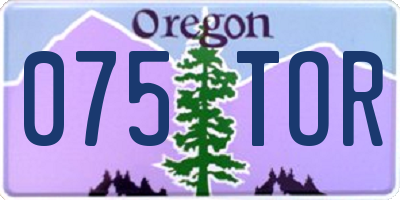 OR license plate 075TOR