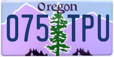 OR license plate 075TPU
