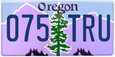 OR license plate 075TRU
