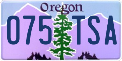 OR license plate 075TSA