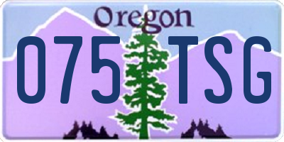 OR license plate 075TSG