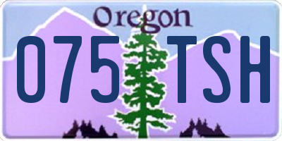 OR license plate 075TSH