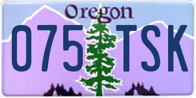 OR license plate 075TSK