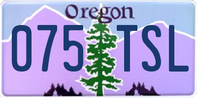 OR license plate 075TSL