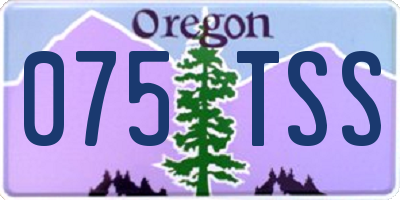 OR license plate 075TSS