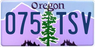 OR license plate 075TSV