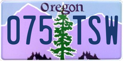 OR license plate 075TSW