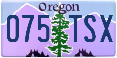 OR license plate 075TSX
