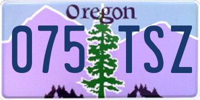 OR license plate 075TSZ