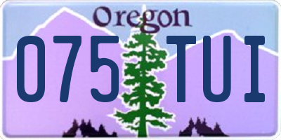 OR license plate 075TUI