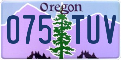 OR license plate 075TUV