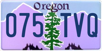 OR license plate 075TVQ