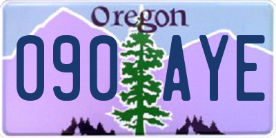 OR license plate 090AYE