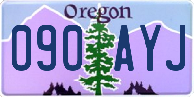 OR license plate 090AYJ
