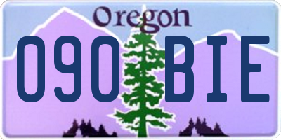 OR license plate 090BIE