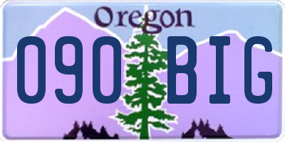 OR license plate 090BIG
