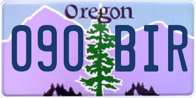OR license plate 090BIR